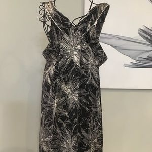 Twelfth Street by Cynthia Vincent 100% Silk Dress